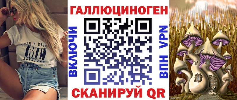 продажа наркотиков  Касли  Галлюциногенные грибы Psilocybine cubensis 